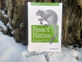 01_React Native(700x561)