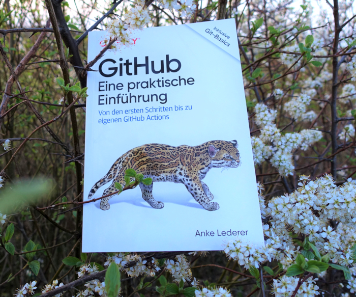 GitHub Buch Open Source